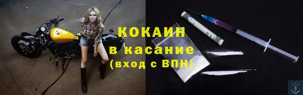 дживик Богданович
