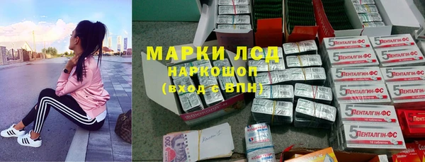 дживик Богданович