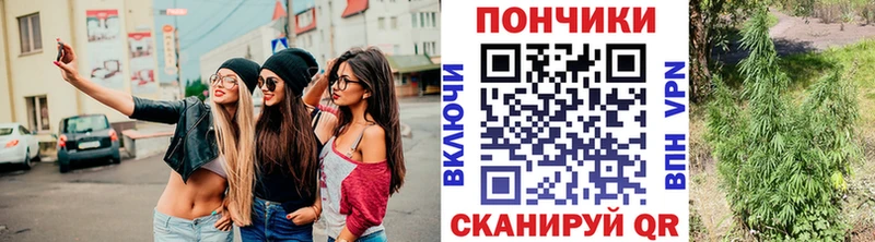 Шишки марихуана Amnesia  сколько стоит  сайты даркнета формула  Реж 